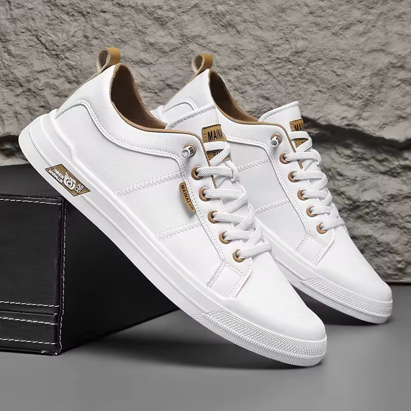 Enzo | Confort Absoluto